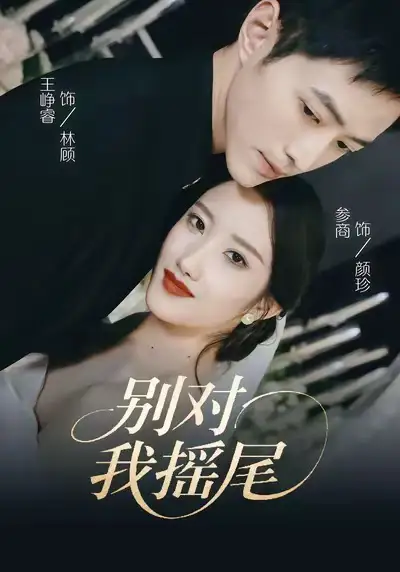 别对我摇尾（59集）王峥睿＆参商海报