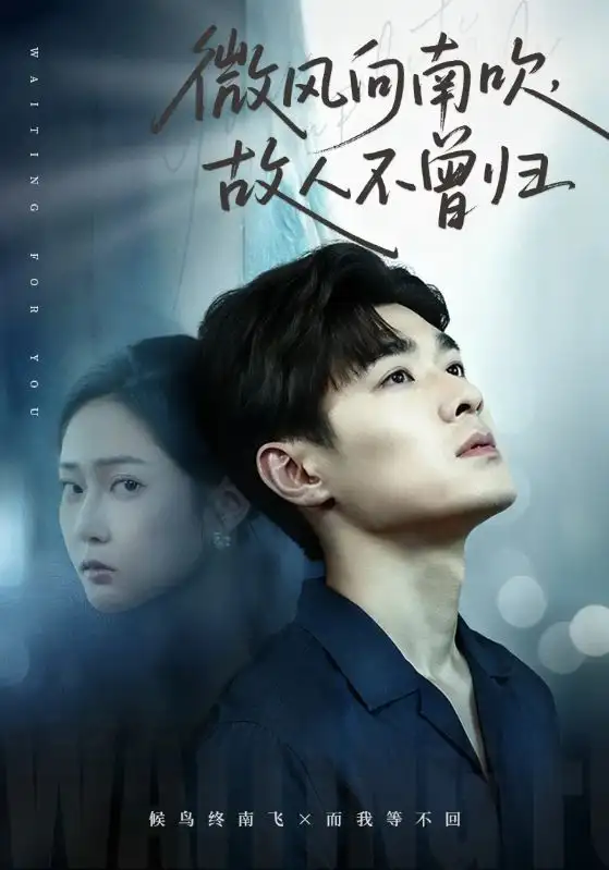 短剧《微风向南吹，故人不曾归》高清完整版全集免费在线观看