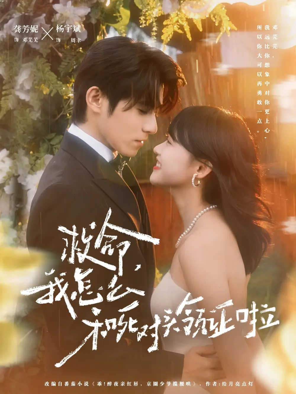 救命，我怎么和死对头领证啦＆周总，夫人她不按套路出牌（82集）杨宇斌＆龚芳妮海报