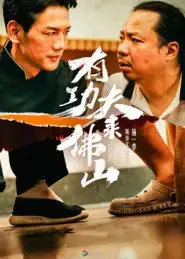 短剧《有功夫来佛山》高清完整版全集免费在线观看