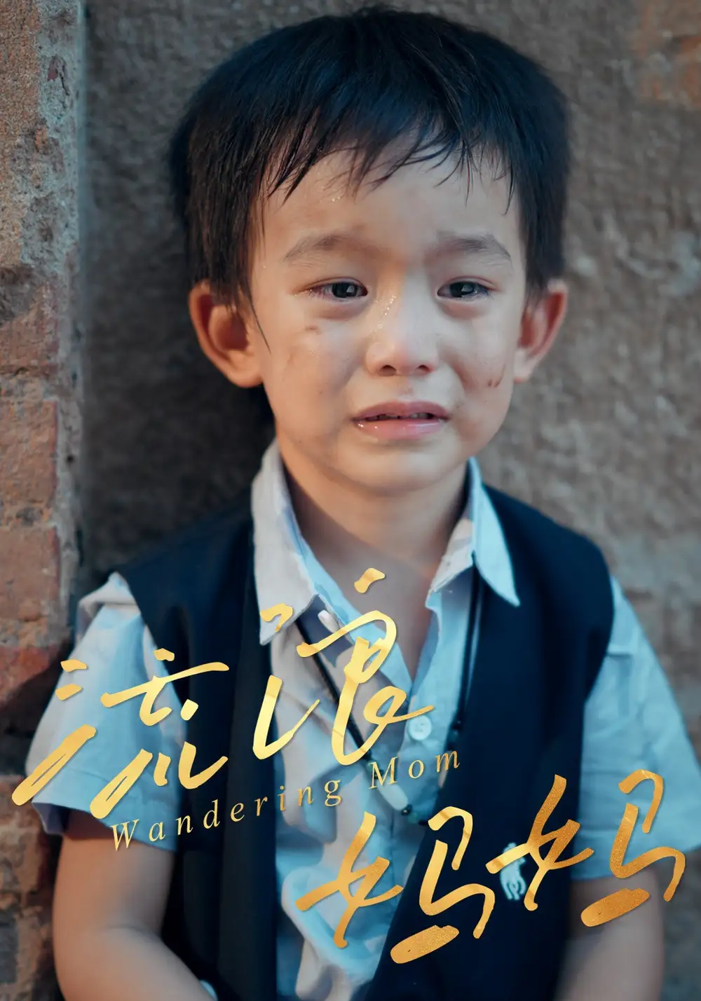 流浪妈妈（30集）海报