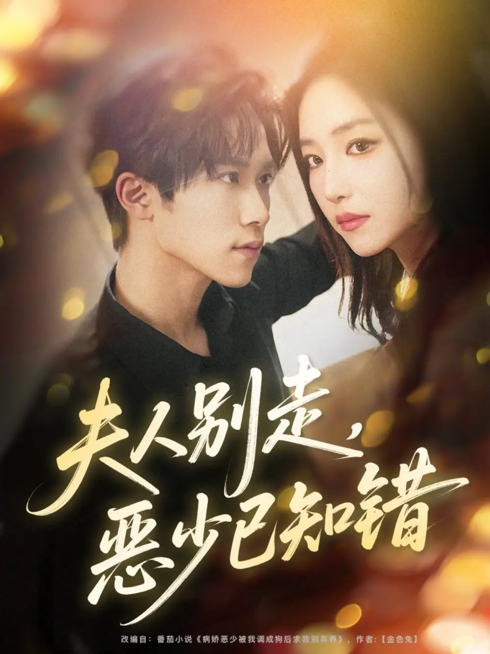 短剧《夫人别走恶少已知错》高清完整版全集免费在线观看